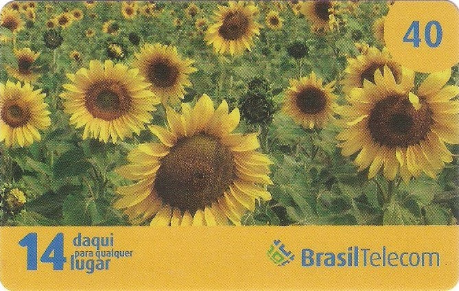 MTC08-08 - Primavera - 1